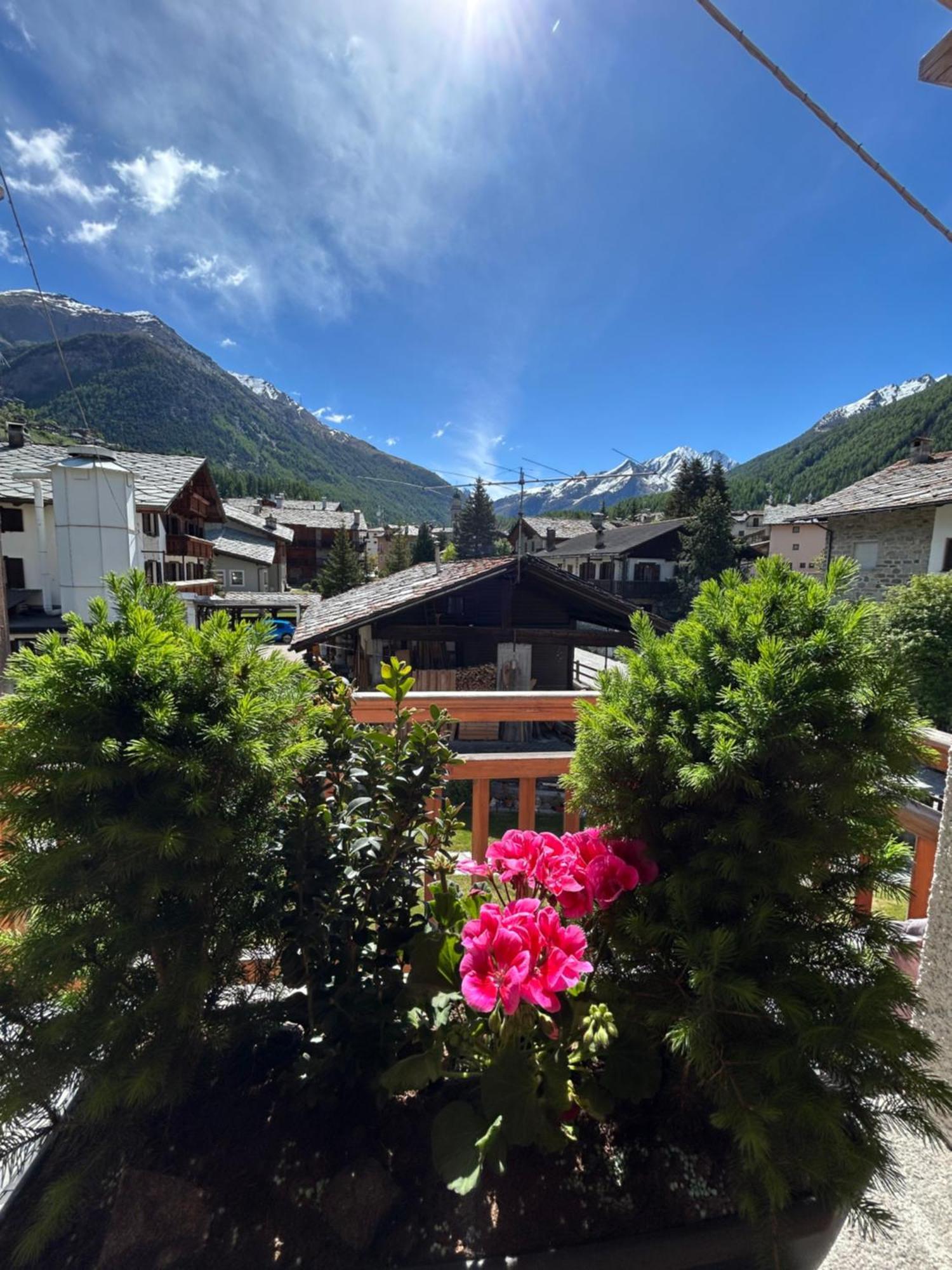 Hibou Chambres - Cogne Bagian luar foto