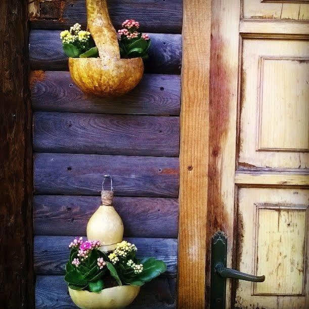 Hibou Chambres - Cogne Bagian luar foto